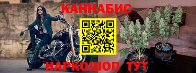 прущие грибы Донецк